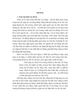 Luan van công tác giám sát của uỷ ban kiểm tra tỉnh ủy