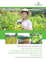 TÓM TẮT KHU VỰC NGHIÊN CỨU PHỐI HỢP ĐẦU TƯ HỆ THỐNG CÂY TRỒNG THƠNG MINH TRONG THÍCH ỨNG VÀ GIẢM THIỂU TÁC ĐỘNG CỦA BIẾN ĐỔI KHÍ HẬU TẠI CHÂU Á (STIP