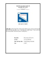 Đại cương văn hóa việt nam