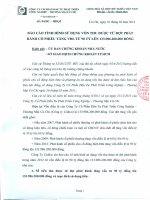 BAO CAO TINH HINH SU DUNG VON THU DUOC TU DOT PHAT HANH CO PHIEU TANG VON DIEU LE(1)