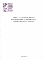 BCTC kiem toan nam 2016 Signed