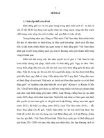 Luận Văn Thạc sĩ - Quản lý nhà nước về bình đẳng giới huyện củ chi