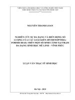 Nghiên cứu sự đa dạng và biến động số lượng của các loài kiến (Hymenoptera: Formicidae) trên một số sinh cảnh tại Trạm đa dạng sinh học Mê Linh, Vĩnh Phúc (LV thạc sĩ)