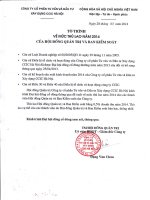 Công ty cổ phần Tư vấn và Đầu tư xây dựng CCIC Hà nội