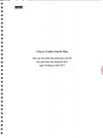 Báo cáo tài chính hợp nhất giữa niên độ 6 tháng đầu năm