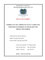 Nghiên cứu quy trình sản xuất cà phê nấm linh chi (ganoderma lucidum) quy mô phòng thí nghiệm 