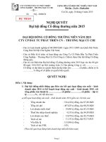 NGHI QUYET DHDCD THUONG NIEN NAM 2015(1)