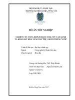 Nghiên cứu tổng hợp zeolite ZSM 5 từ cao lanh và khảo sát khả năng hấp phụ amoni trong nước 