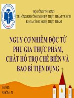nguy cơ nhiễm độc từ phụ gia thực phẩm, chất hỗ trọ chế biến và bao bì tiện dung
