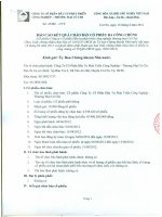 BAO CAO KET QUA CHAO BAN CO PHIEU RA CONG CHUNG