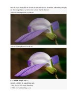 Chuyên đề chỉnh sửa ảnh trên photoshop giúp các đơn vị có file ảnh đẹp trước khi đưa lên web 