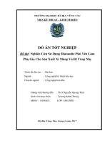 Nghiên cứu sử dụng diatomite phú yên làm phụ gia cho sản xuất xi măng và bê tông nhẹ 