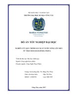 Nghiên cứu quy trình sản xuất nước uống lên men từ trái xoài mangifera indica 