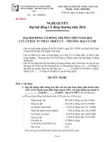 NGHI QUYET DHDCD THUONG NIEN NAM 2016(2)