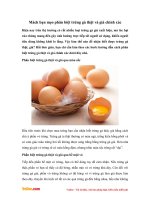 cach phan biet trung ga that gia chinh xac