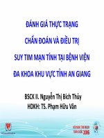 Đánh giá thực trạng chẩn đoán và điều trị suy tim mạn tính tại bệnh viện đa khoa khu vực tỉnh An Giang