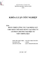 Hoàn thiện công tác tạo động lực cho nhân viên bán hàng tại công ty cổ phần thương mại điện tử viễn thông đ  t (tt) 