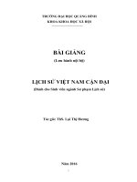 BÀI GIẢNG LỊCH sử VIỆT NAM cận đại 