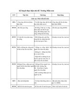 mau ke hoach thuc hien chu de truong mam non