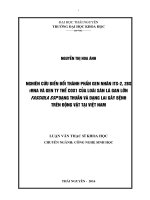 Nghiên cứu sự biến đổi thành phần gen nhân ITS2, 28S rRNA và gen ty thể COX1 của loài sán lá gan lớn Fasciola sp dạng thuần và dạng lai gây bệnh trên động vật tại Việt Nam (LV thạc sĩ)