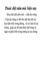 Thuốc diệt nấm mốc hiện nay