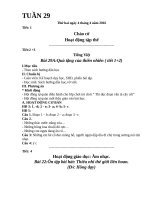 Giáo án lớp 4 VNEN tuần 29 