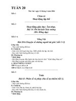 Giáo án lớp 4 VNEN tuần 20 