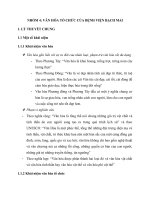 VĂN HÓA TỔ CHỨC CỦA BỆNH VIỆN BẠCH MAI