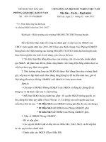 NỘI DUNG HƯỚNG dẫn THỰC HIỆN SKKN 