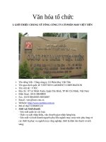 VĂN HÓA TỔ CHỨC TỔNG CÔNG TY CỔ PHẦN MAY VIỆT TIẾN