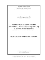 Tổ chức tư vấn chăm sóc trẻ mẫu giáo 5  6 tuổi cho các bậc cha mẹ ở thành phố Hải Dương (LV thạc sĩ)