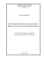 Quản trị rủi ro tín dụng tại Ngân hàng hợp tác xã Việt Nam  chi nhánh Nghệ An