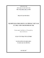 Tội hiếp dâm theo pháp luật hình sự việt nam từ thực tiễn thành phố hà nội 