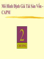 Mô Hình Định Giá Tài Sản Vốn CAPM