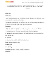 giao an ngu van 11 luyen tap van dung ket hop cac thao tac lap luan