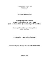 Tội trộm cắp tài sản theo Luật hình sự Việt Nam (trên cơ sở các số liệu địa bàn thành phố Hồ Chí Minh)