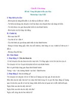 giao an choi vong doi phat trien cua sau