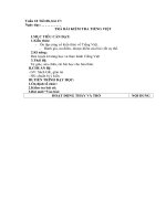 giao an ngu van lop 9 bai tra bai kiem tra tieng viet