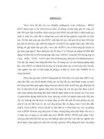 Nghiên cứu biểu hiện kháng nguyên hemagglutinin (HA) tái tổ hợp của virus cúm AH5H1 và đánh giá tinh sinh miễn dịch trên gà 