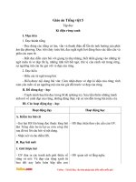 giao an tieng viet 5 tuan 8 bai tap doc ki dieu rung xanh