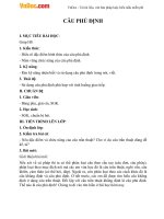 giao an bai cau phu dinh