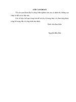 xây dựng mô hình thực tế trên hệ thống, tìm hiểu cấu tạo, nguyên lý hoạt động, cách đấu nối và cài đặt của Loadcell, PLC, màn hình HMI sử dụng trong mô hình