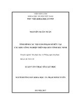 Tình hình các tội xâm phạm sở hữu tại các khu công nghiệp trên địa bàn tỉnh Bắc Ninh (LV thạc sĩ)