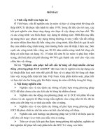 Nghiên cứu PHỤC hồi kết cấu bê tông cốt THÉP NHIỄM clorua bẰNG phương pháp ECE và EICI (tt) 