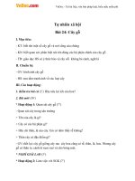 tu nhien xa hoi 1 cay go