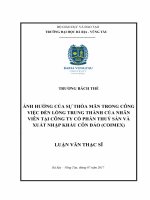 Ảnh hưởng của sự thỏa mãn trong công việc đến lòng trung thành của nhân viên tại công ty cổ phần thuỷ sản và xuất nhập khẩu côn đảo (coimex) 