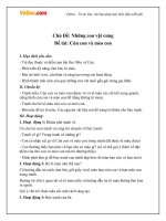 giao an mam non de tai cun con va meo con