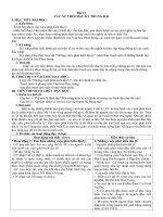 giao an lich su 10 bai 11