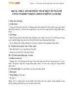 giao an dia ly 9 bai thuc hanh phan tich mot so nganh cong nghiep trong diem o dong nam bo