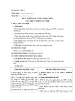 giao an bai nhiem sac the va dot bien cau truc nhiem sac the